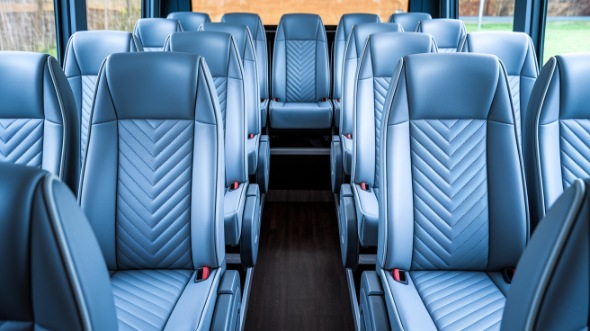 15 passenger minibus interior lodi